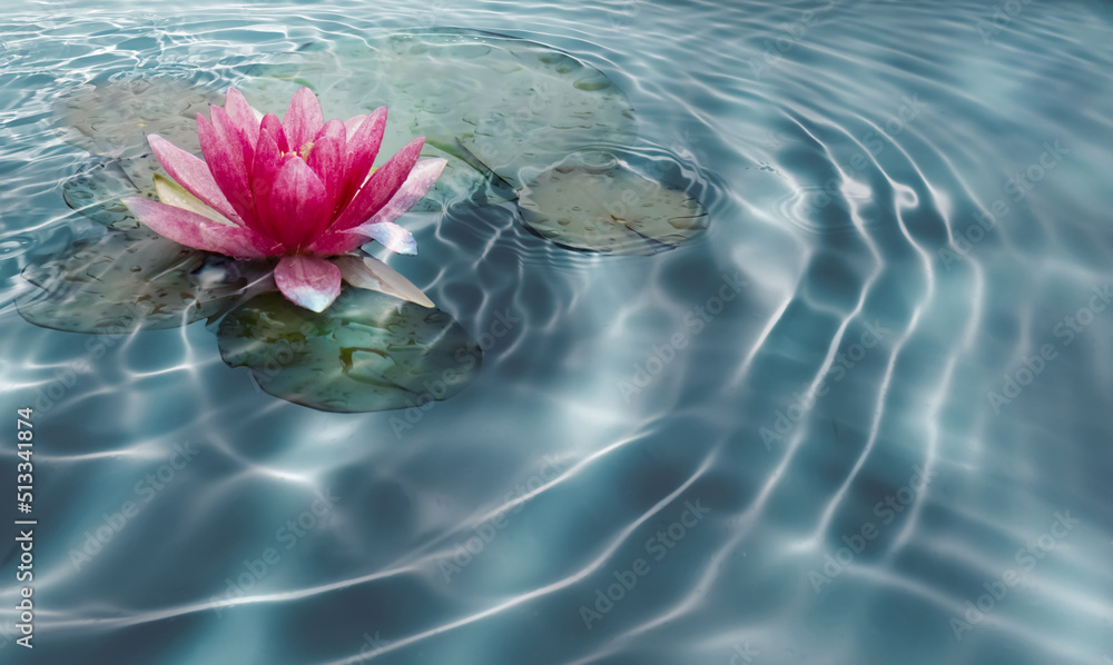 terratのサービスイメージ